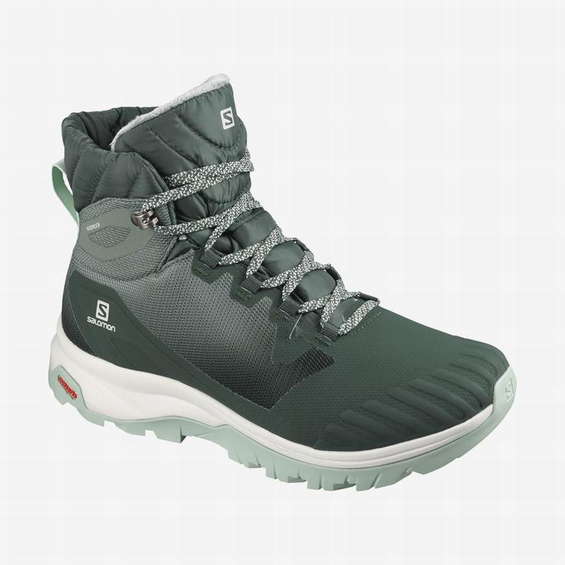 Botas De Invierno Salomon Mujer Verde - Salomon Argentina VAYA BLAZE THINSULATE™ CLIMASALOMON™ IMPER